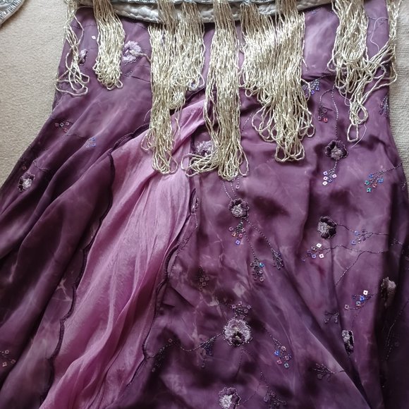 Elegant Professional Custom-Made Belly Dance Skirts and Pants Collection - Picture 2 of 9